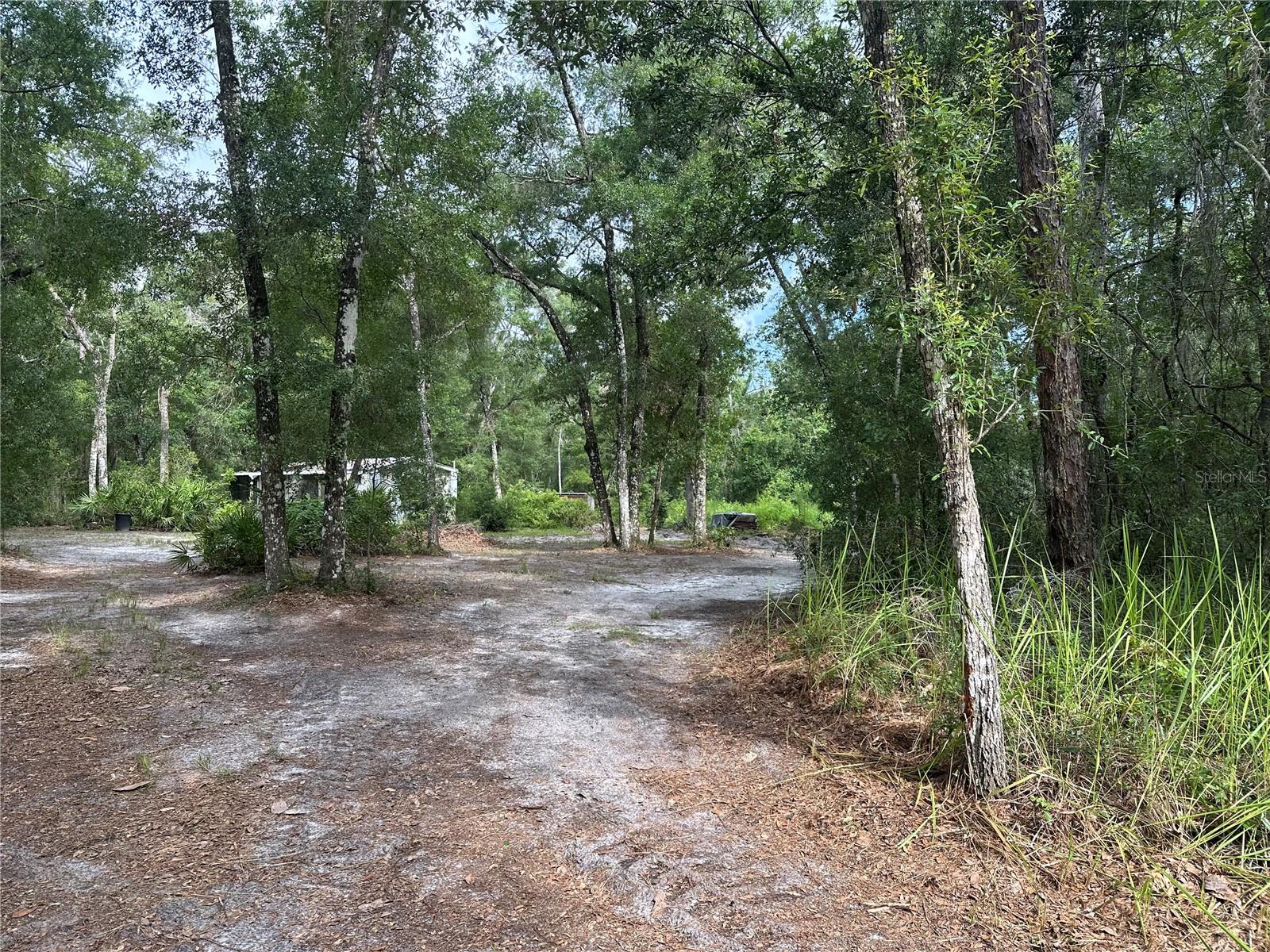 Listing photo id 19 for 14347 Old Hunter Road