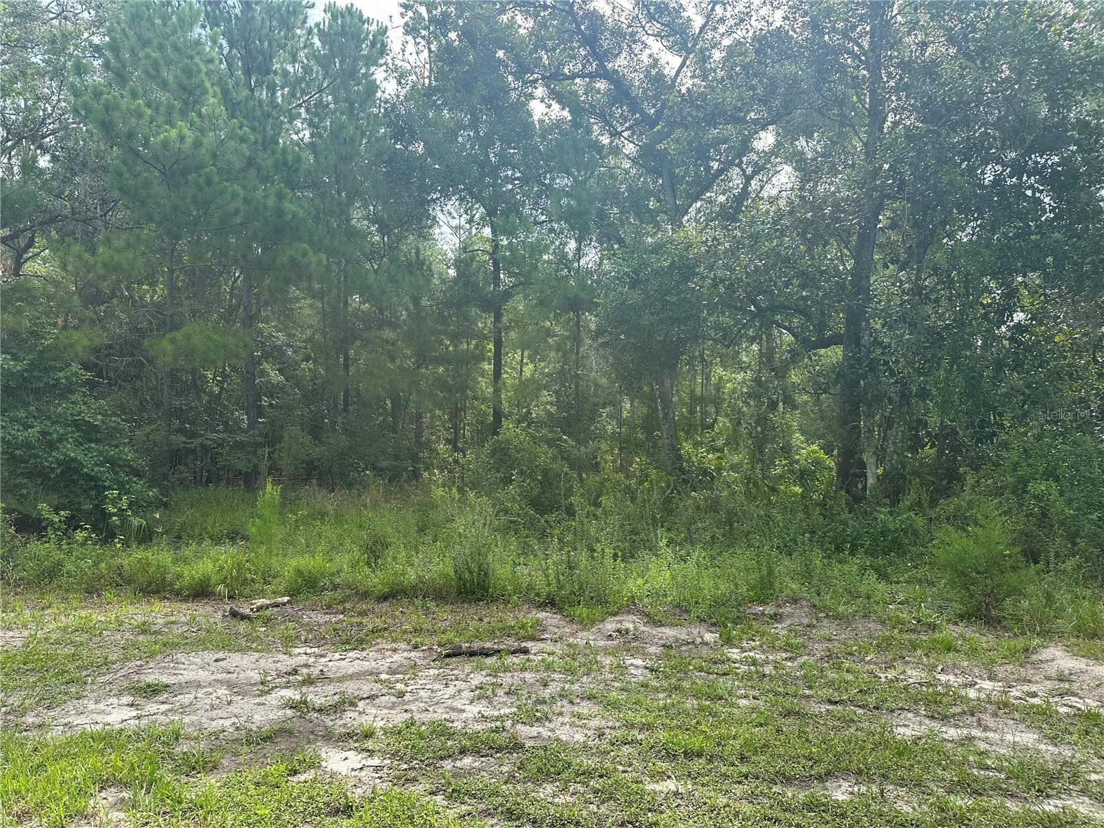 Listing photo id 20 for 14347 Old Hunter Road