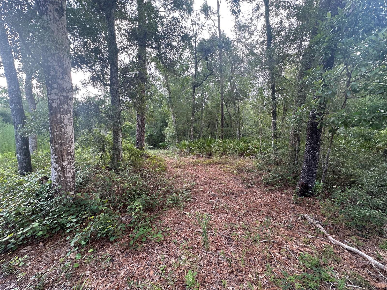 Listing photo id 21 for 14347 Old Hunter Road