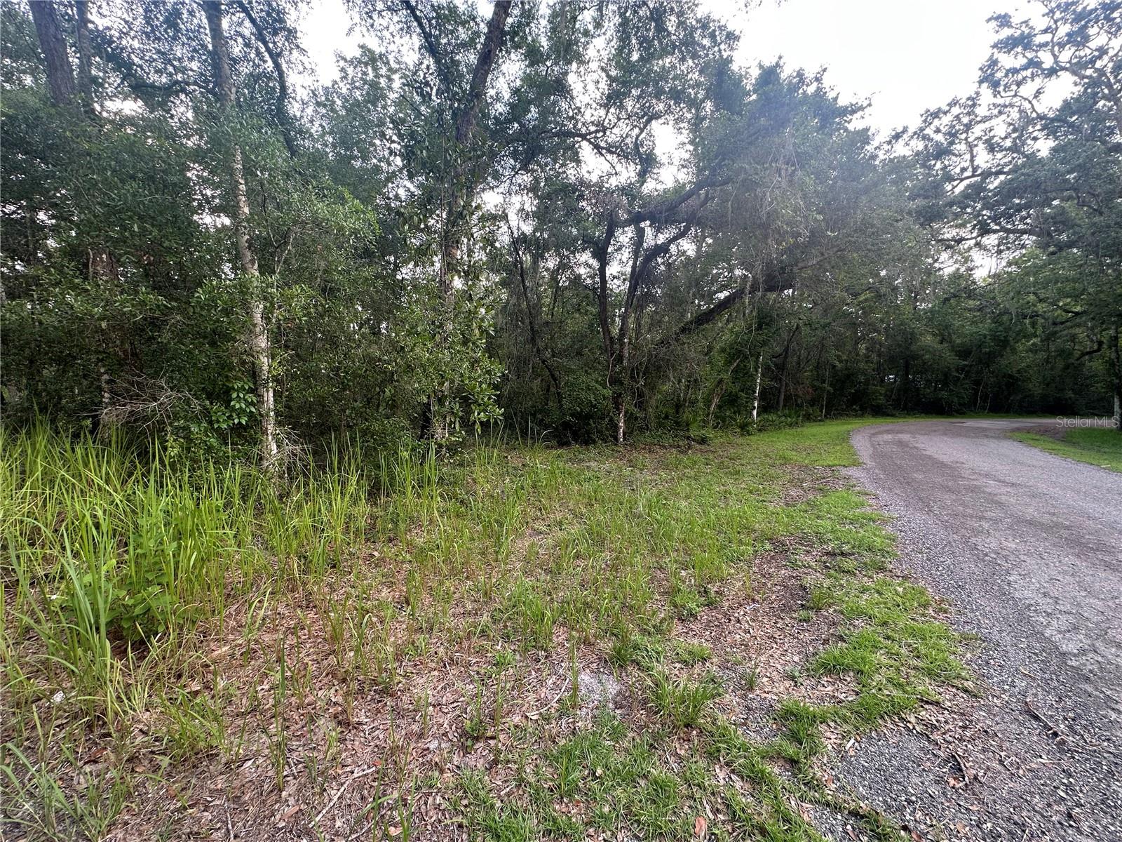 Listing photo id 23 for 14347 Old Hunter Road