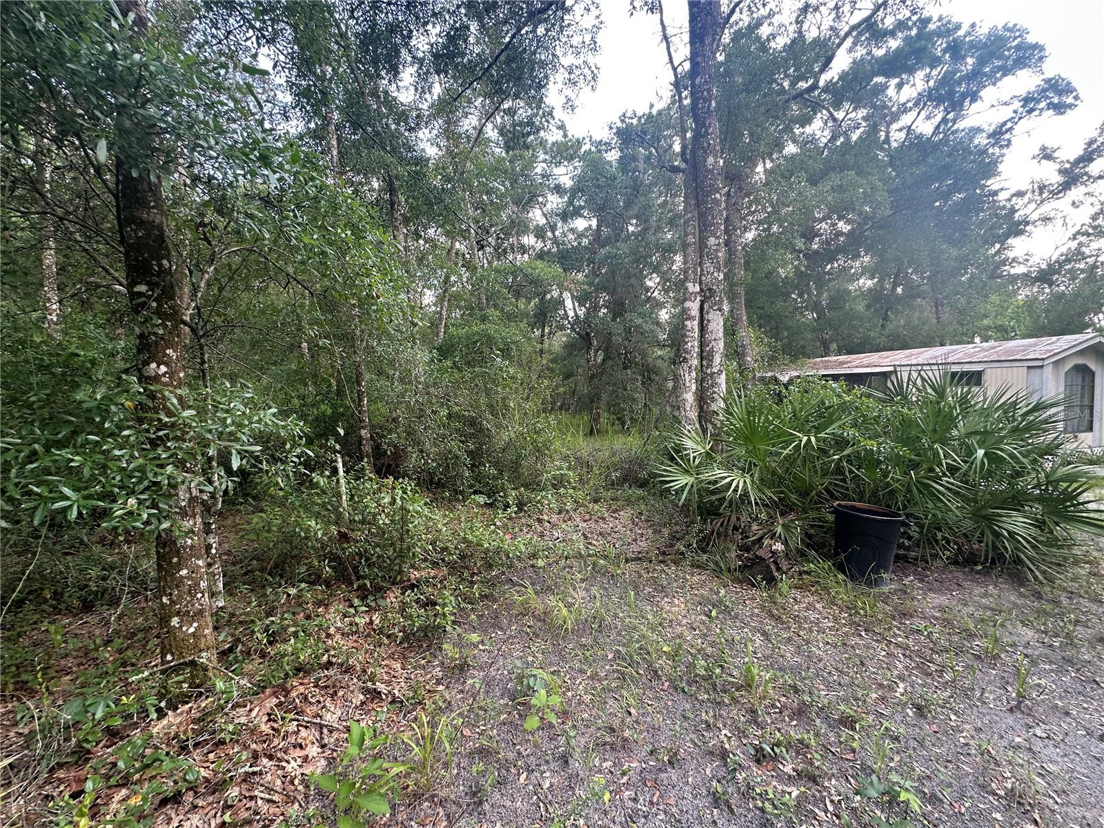 Listing photo id 24 for 14347 Old Hunter Road