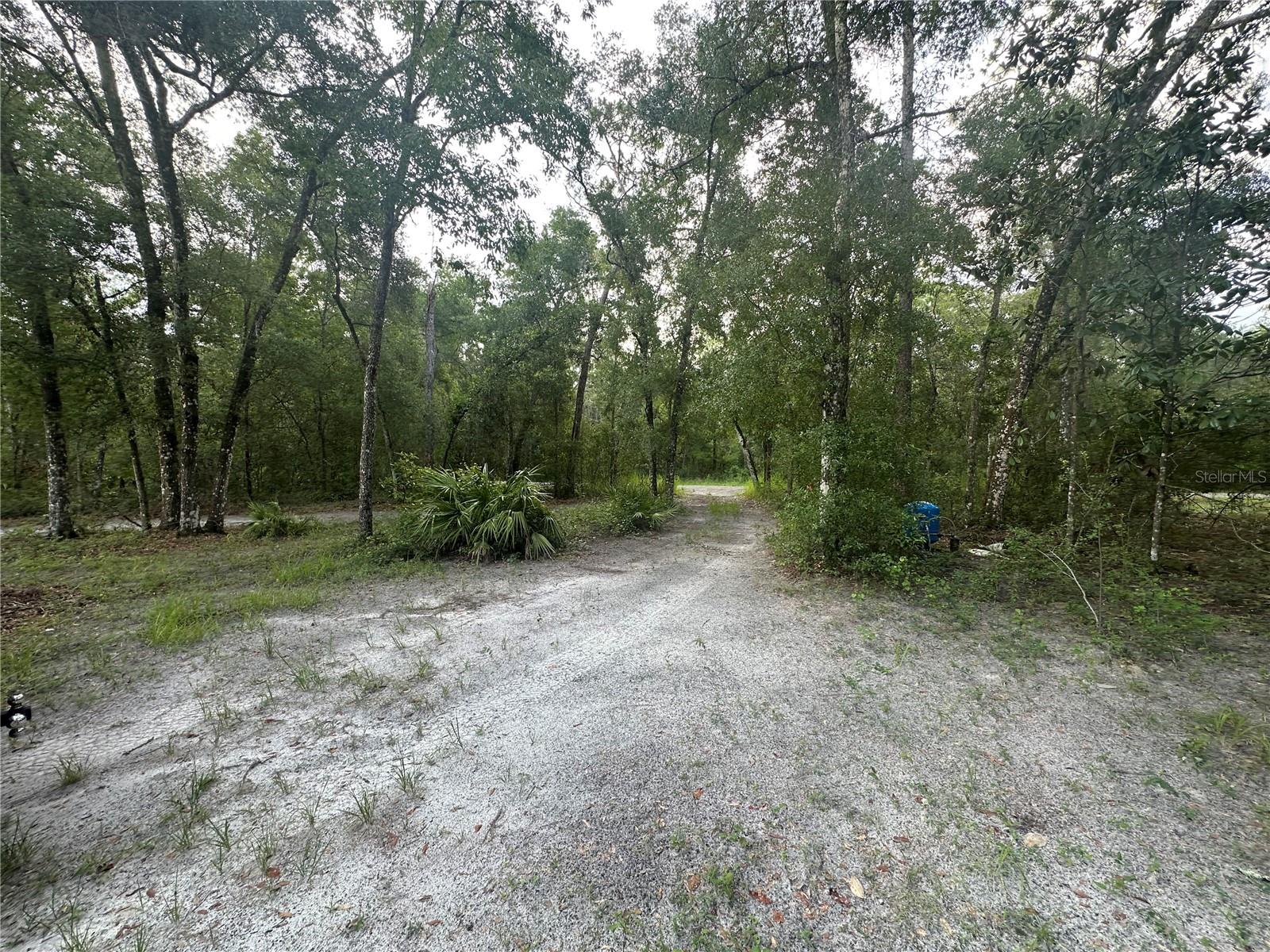 Listing photo id 25 for 14347 Old Hunter Road