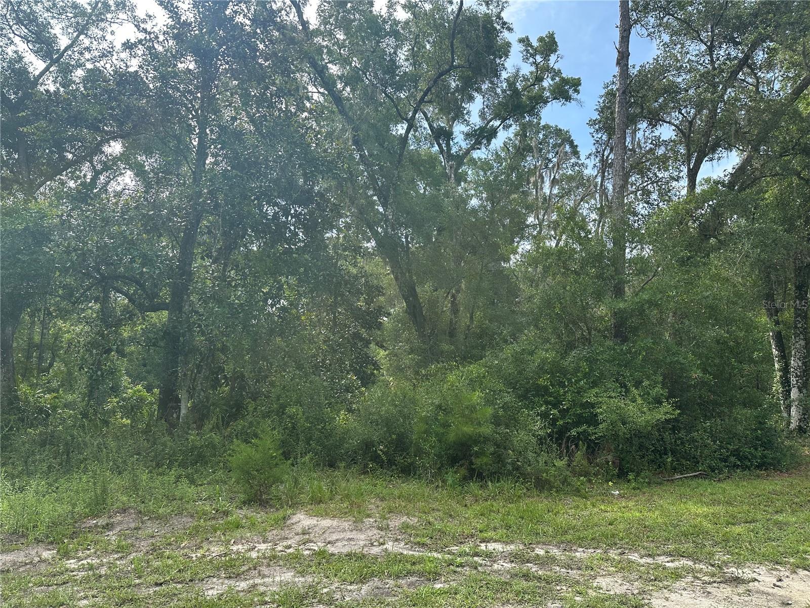 Listing photo id 26 for 14347 Old Hunter Road