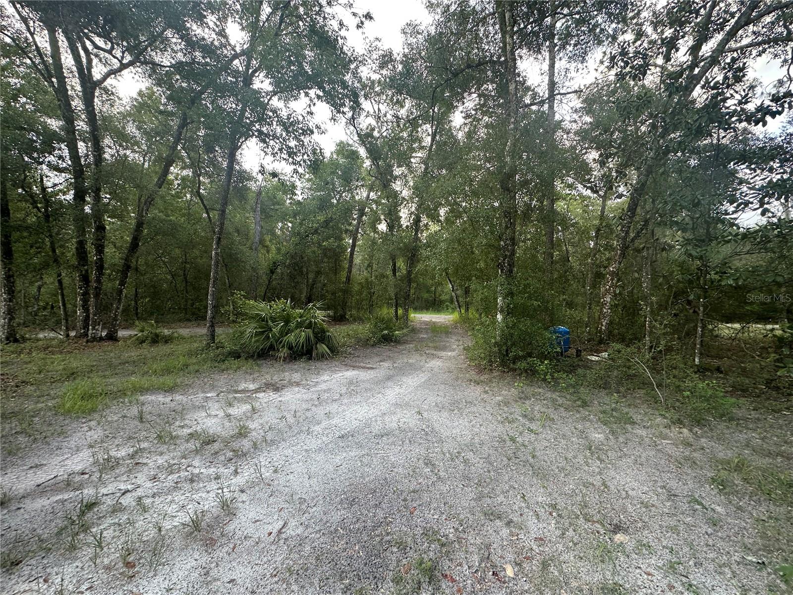 Listing photo id 27 for 14347 Old Hunter Road