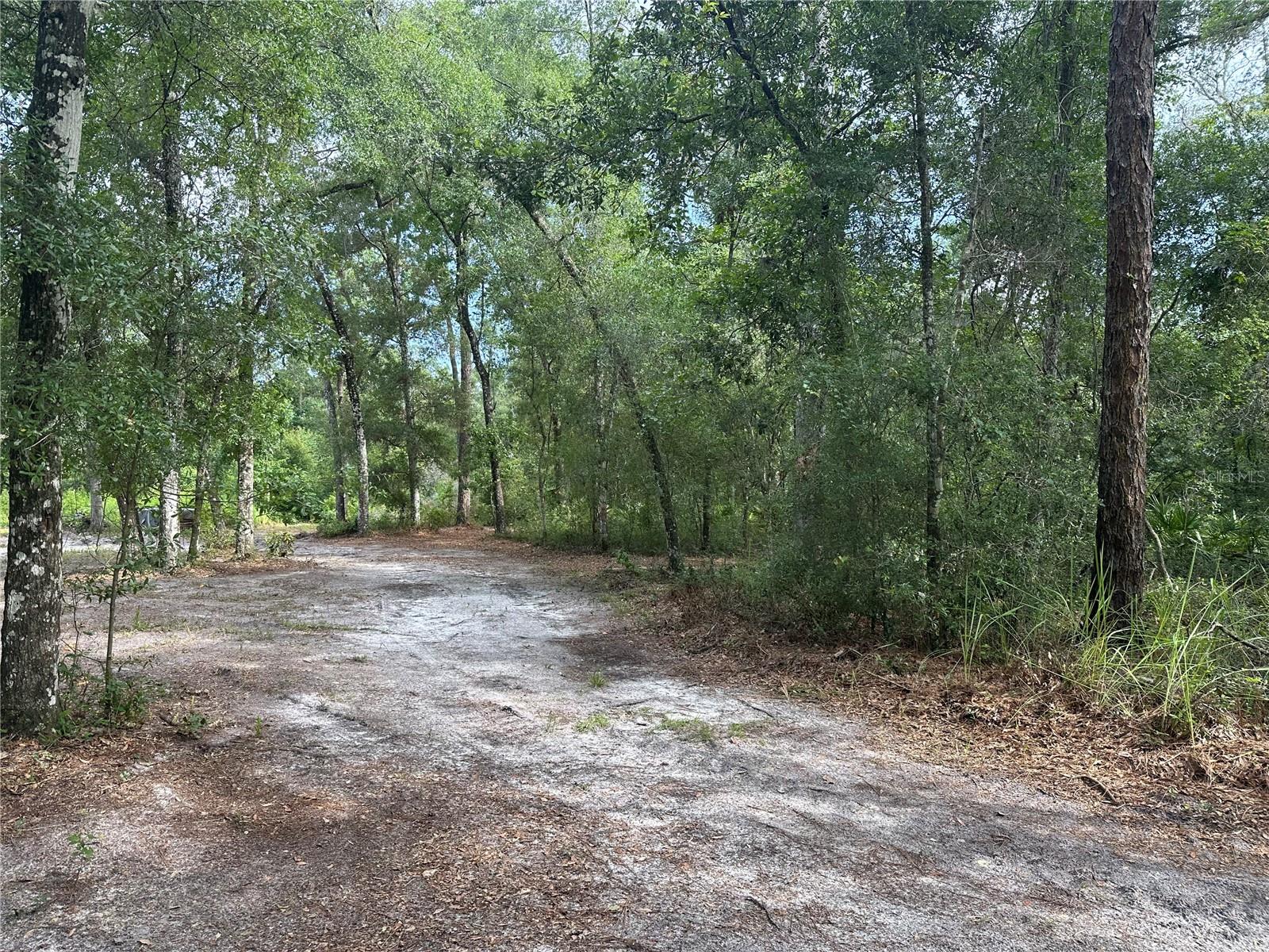 Listing photo id 28 for 14347 Old Hunter Road