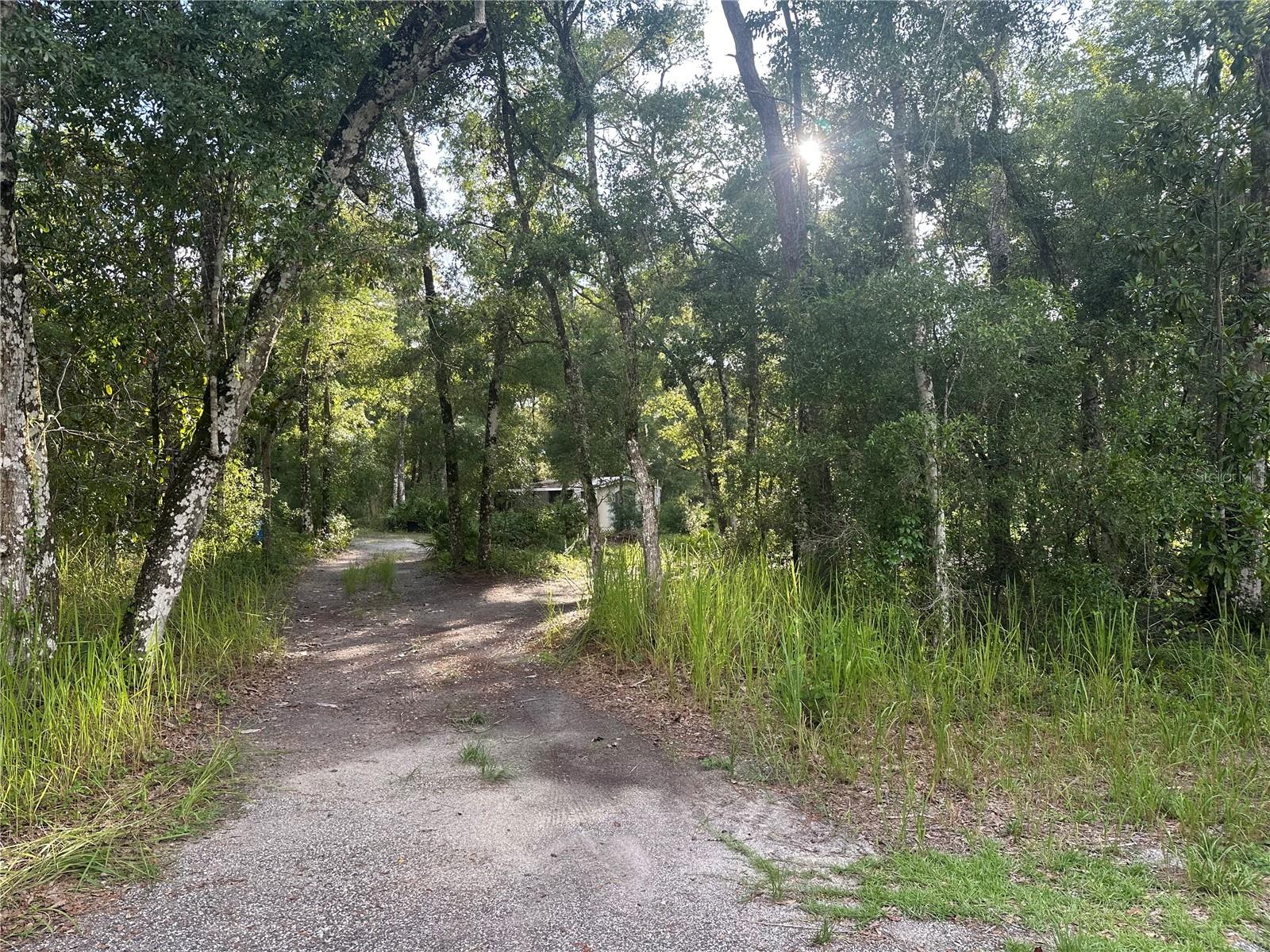 Listing photo id 29 for 14347 Old Hunter Road