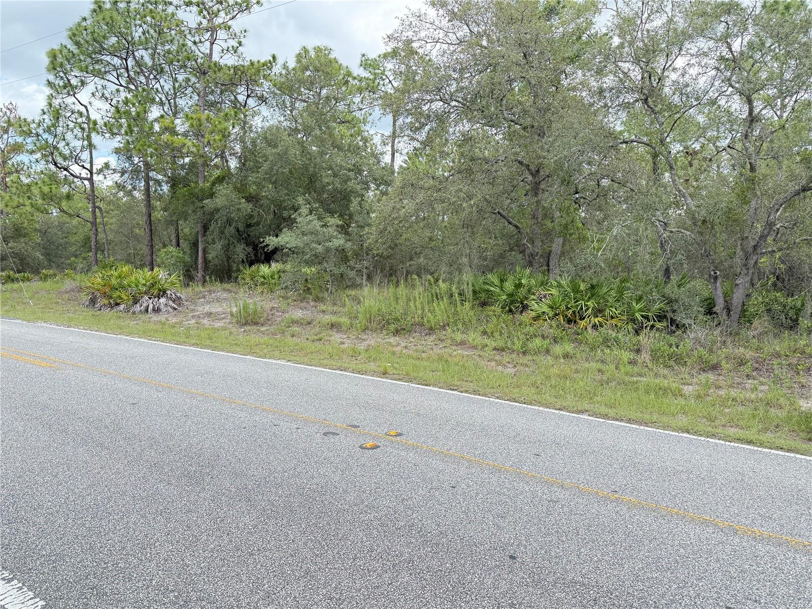 Details for 0 Fulton Avenue, WEEKI WACHEE, FL 34613