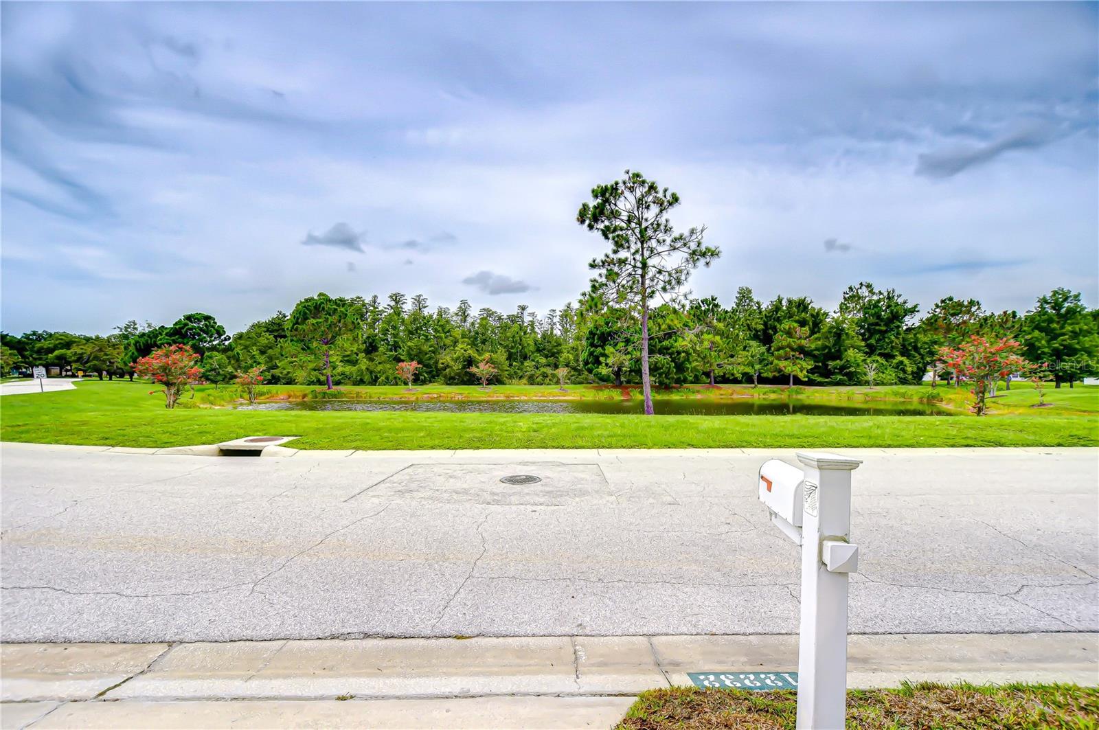 Image 45 of 50 For 12232 Ridgedale Drive
