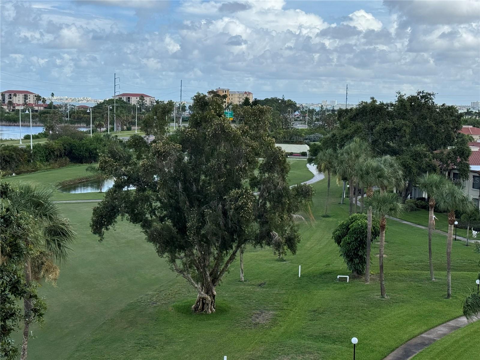 Image 8 of 9 For 6269 Palma Del Mar Boulevard S 508