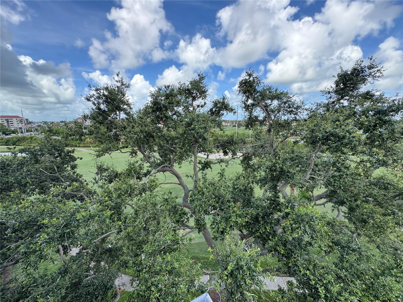 Image 9 of 9 For 6269 Palma Del Mar Boulevard S 508