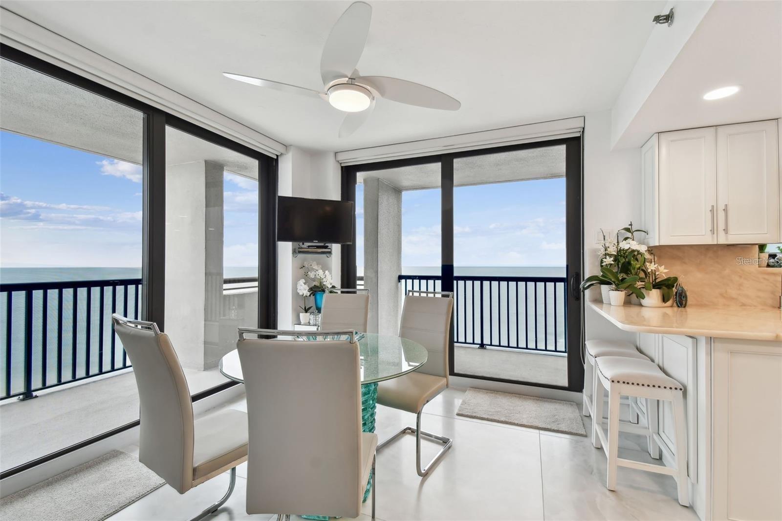 Listing photo id 8 for 1660 Gulf Boulevard Ph1