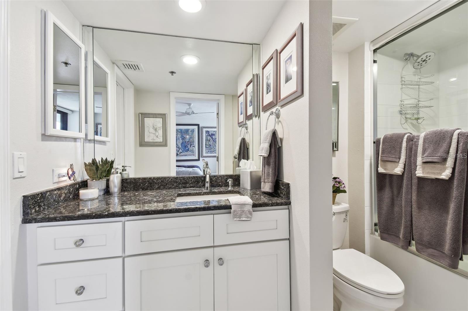 Listing photo id 18 for 1660 Gulf Boulevard Ph1