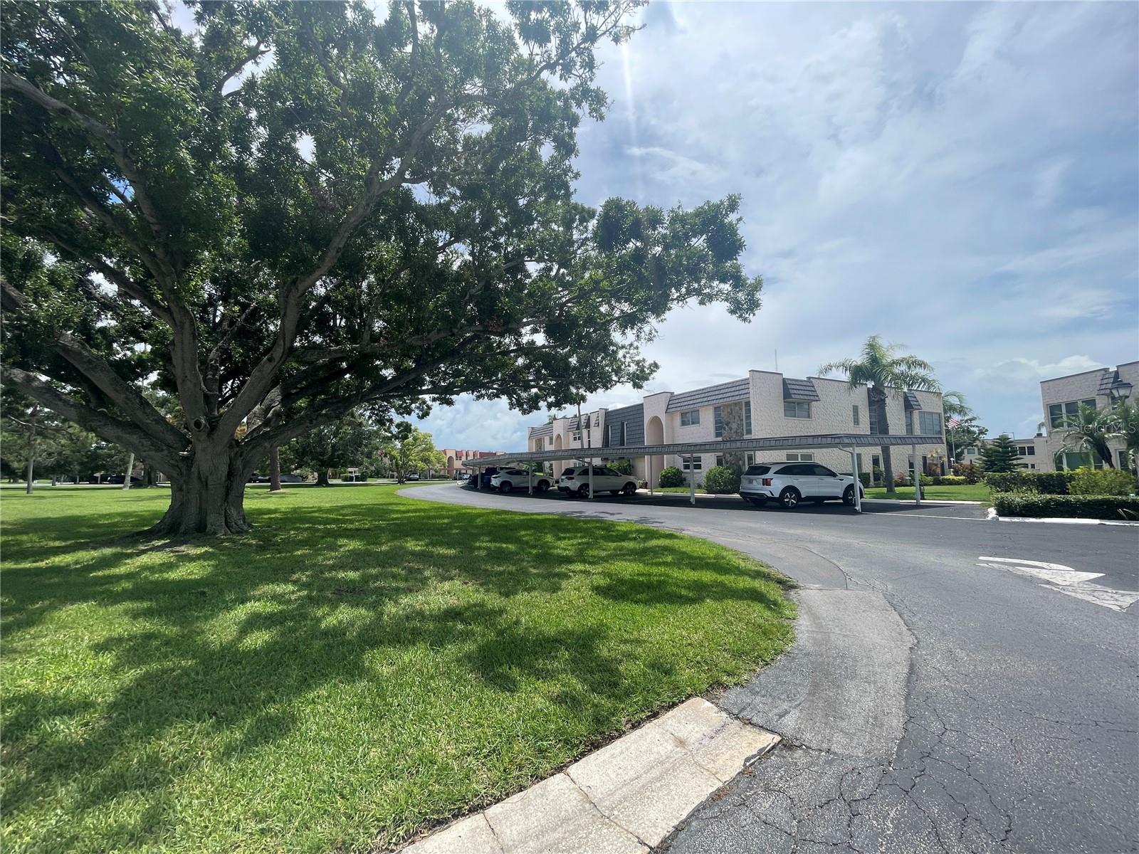 Listing photo id 1 for 223 Elmwood Circle