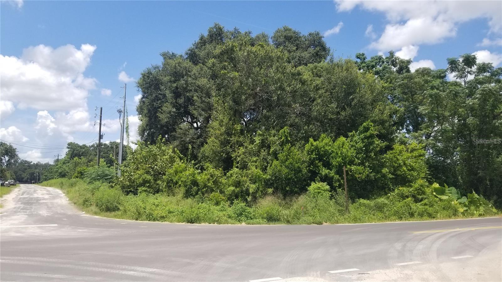 Listing photo id 3 for 4137 New River Rd