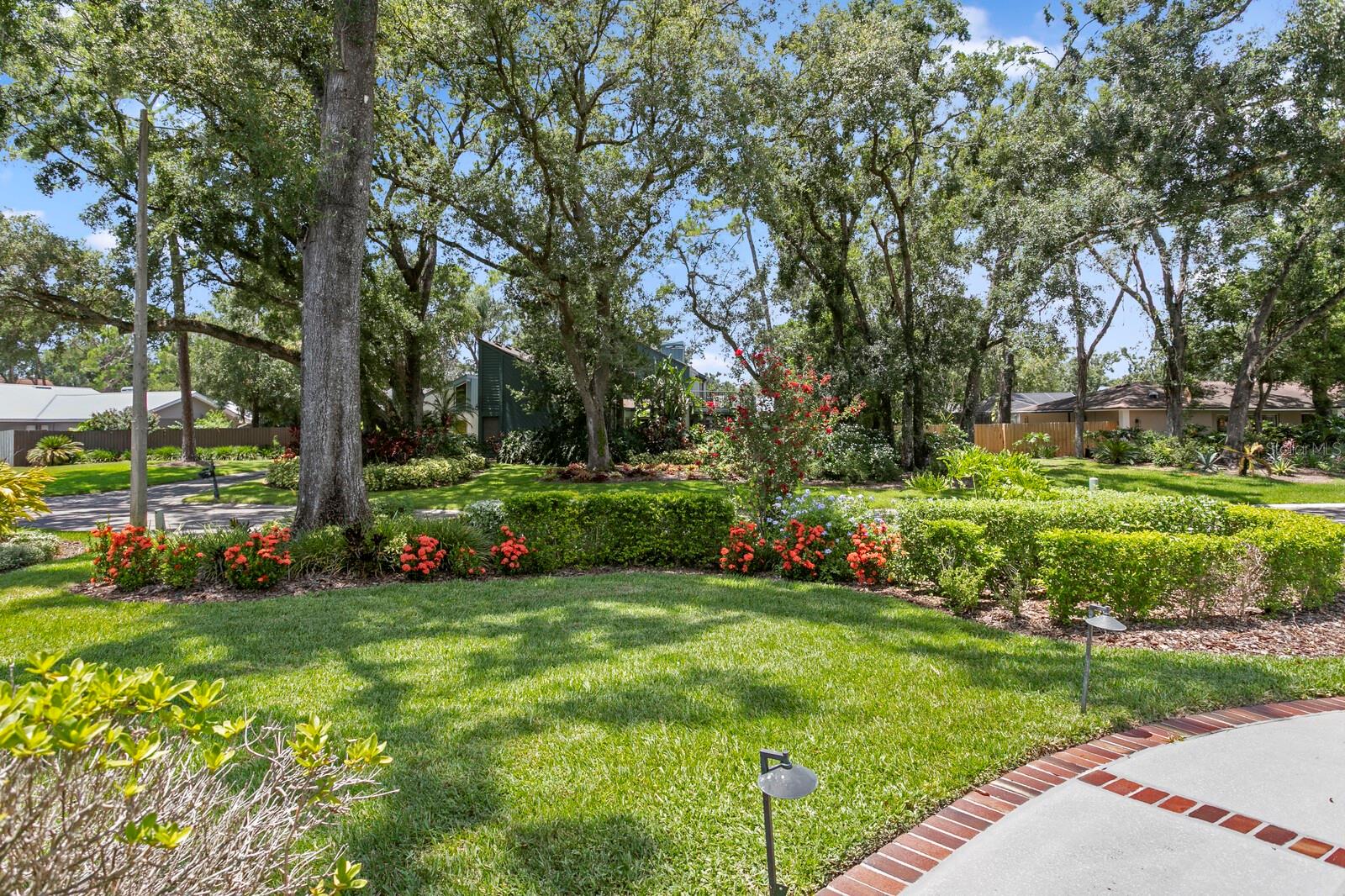 Listing photo id 35 for 818 Gascon Place