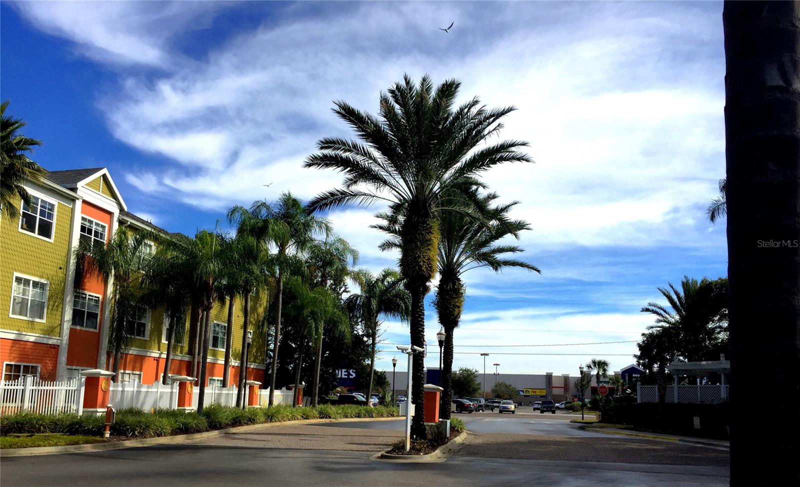 Image 12 of 19 For 4207 Dale Mabry Highway 3205