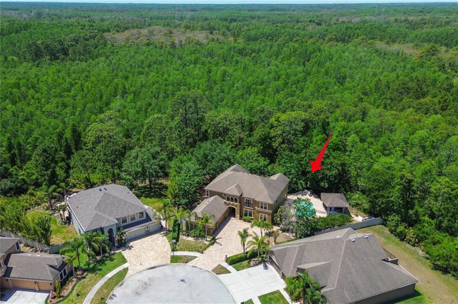 Details for 14809 Ninebark Court, LAND O LAKES, FL 34638