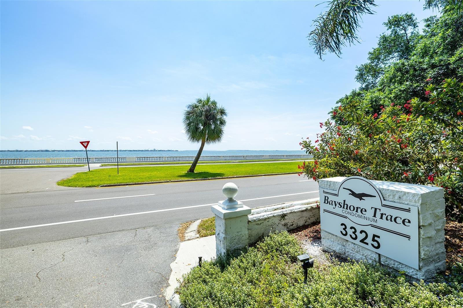 Image 16 of 19 For 3325 Bayshore Boulevard A27