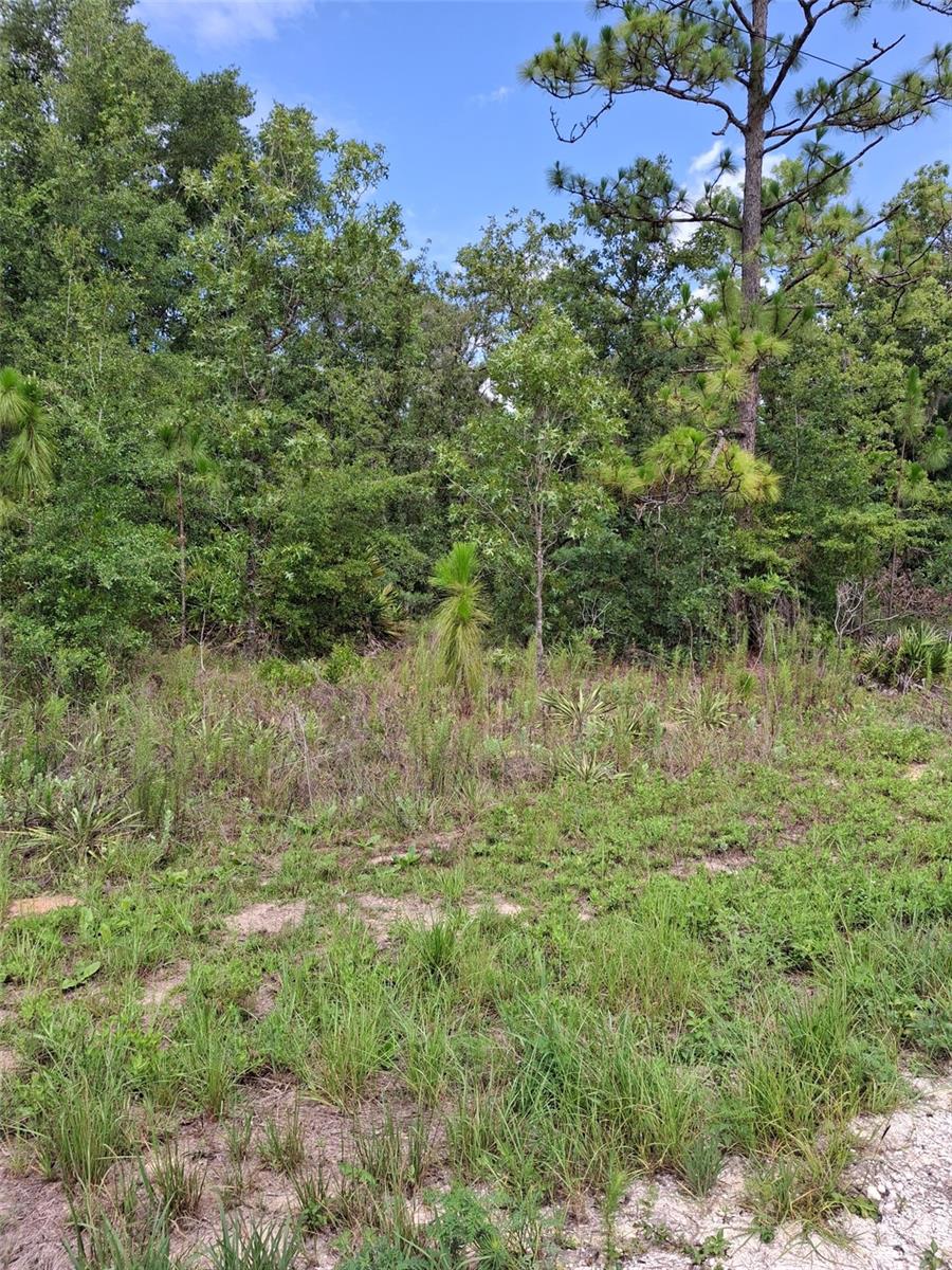 Details for Lot 7 Crabapple Road, WEEKI WACHEE, FL 34614