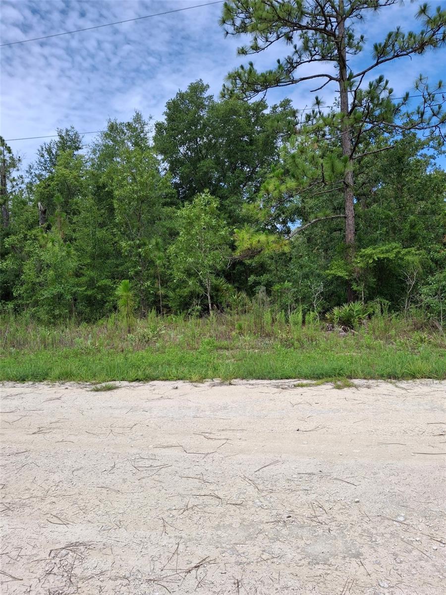 Image 4 of 7 For Lot 7 Crabapple Road