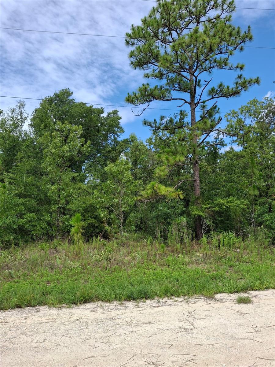 Image 7 of 7 For Lot 7 Crabapple Road