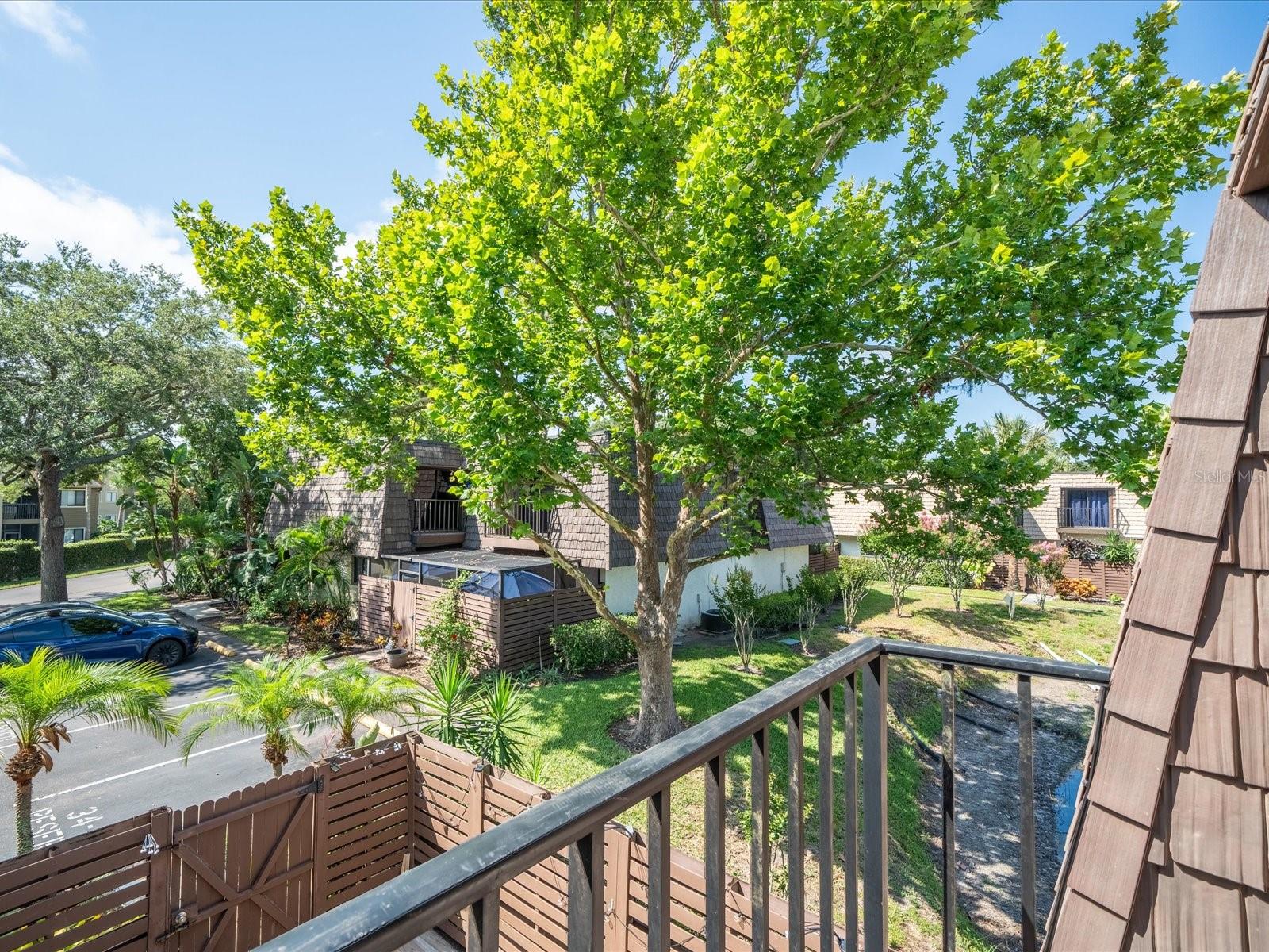 Image 31 of 38 For 15214 Pond Woods Drive 15214