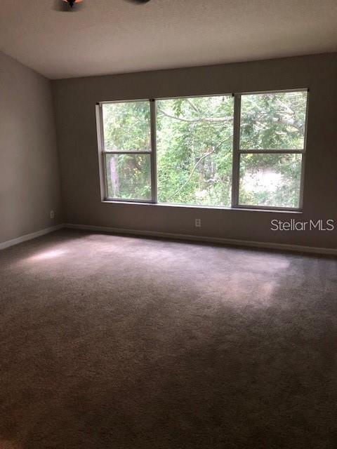 Image 4 of 19 For 4208 Bismarck Palm Drive
