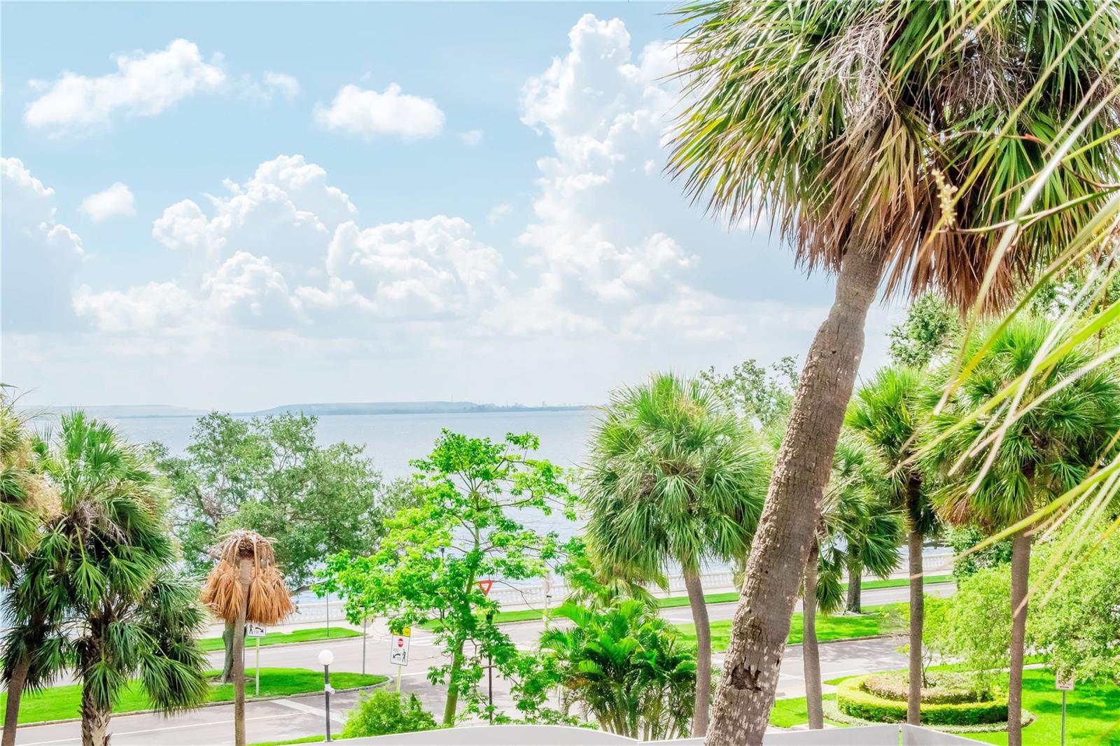 Image 35 of 52 For 4141 Bayshore Boulevard 304