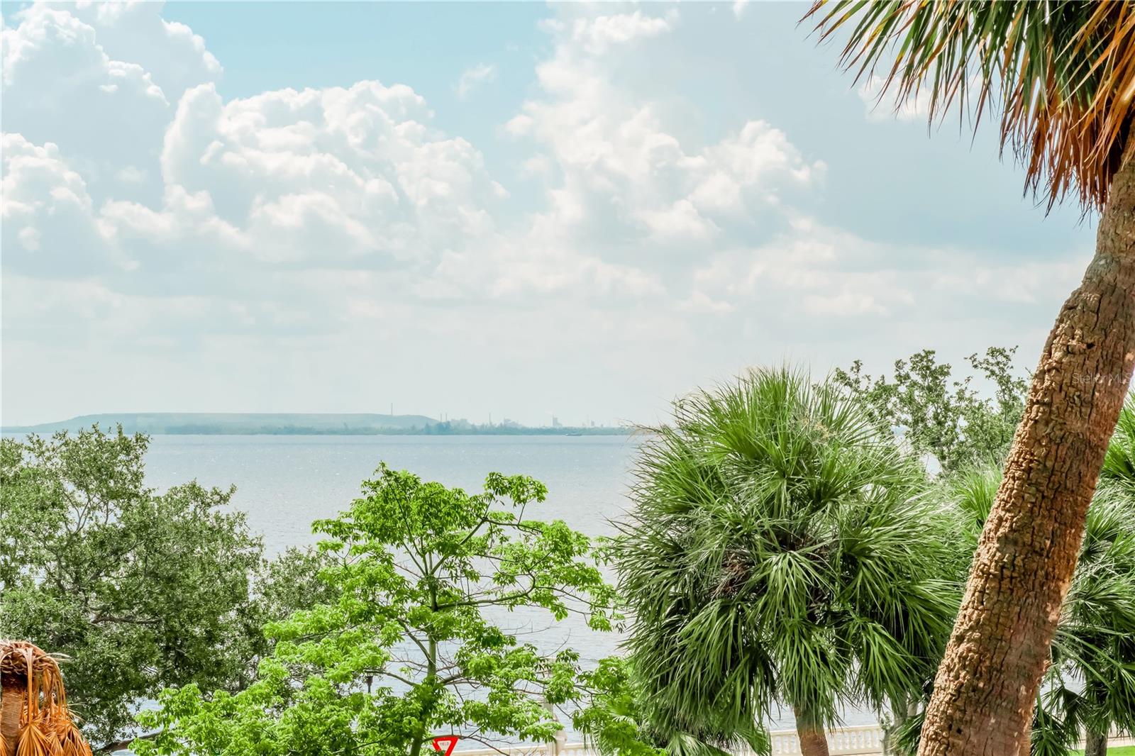 Image 38 of 52 For 4141 Bayshore Boulevard 304