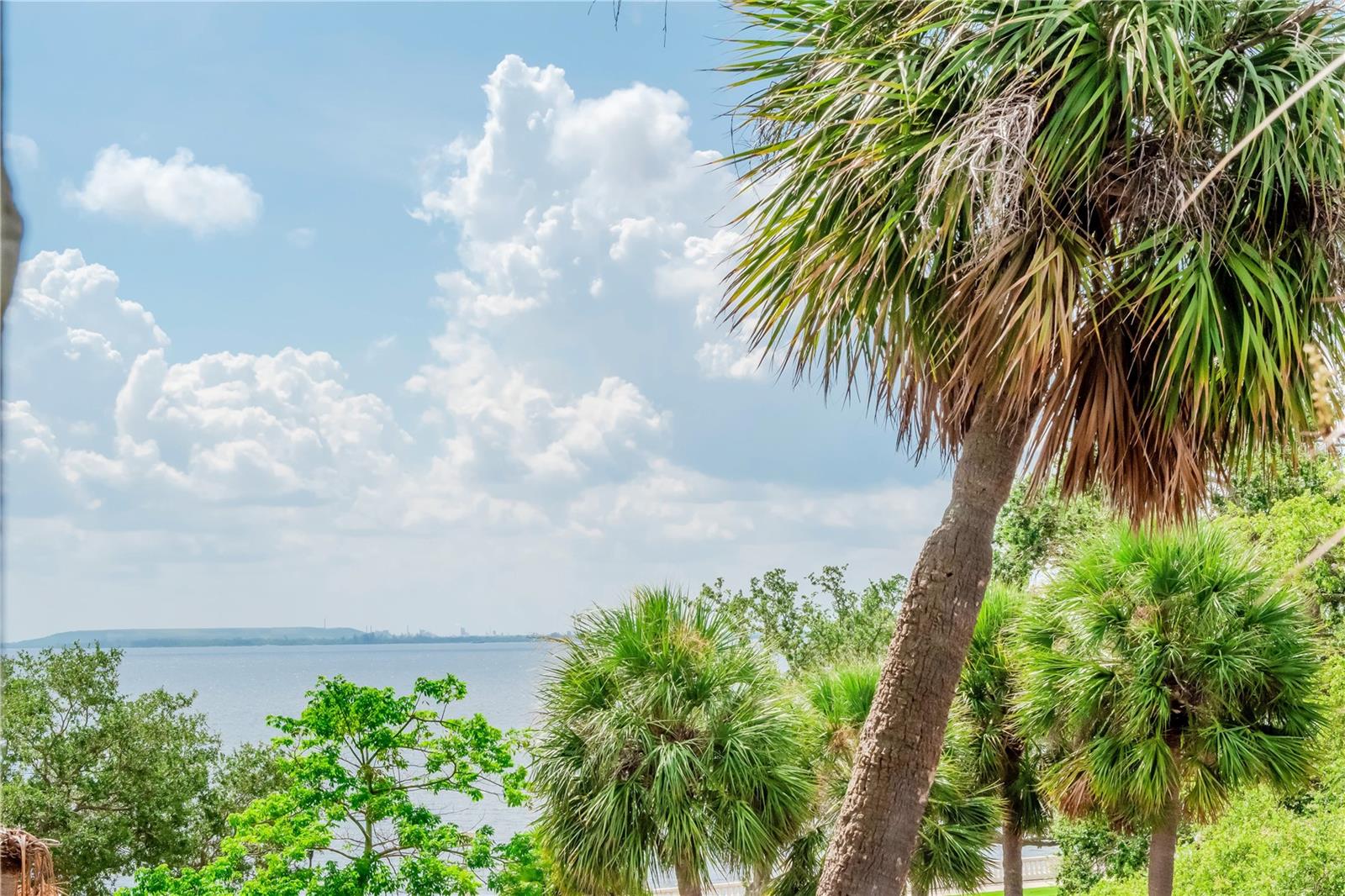 Image 39 of 52 For 4141 Bayshore Boulevard 304