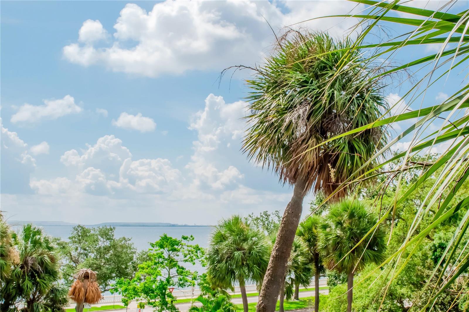 Image 40 of 52 For 4141 Bayshore Boulevard 304