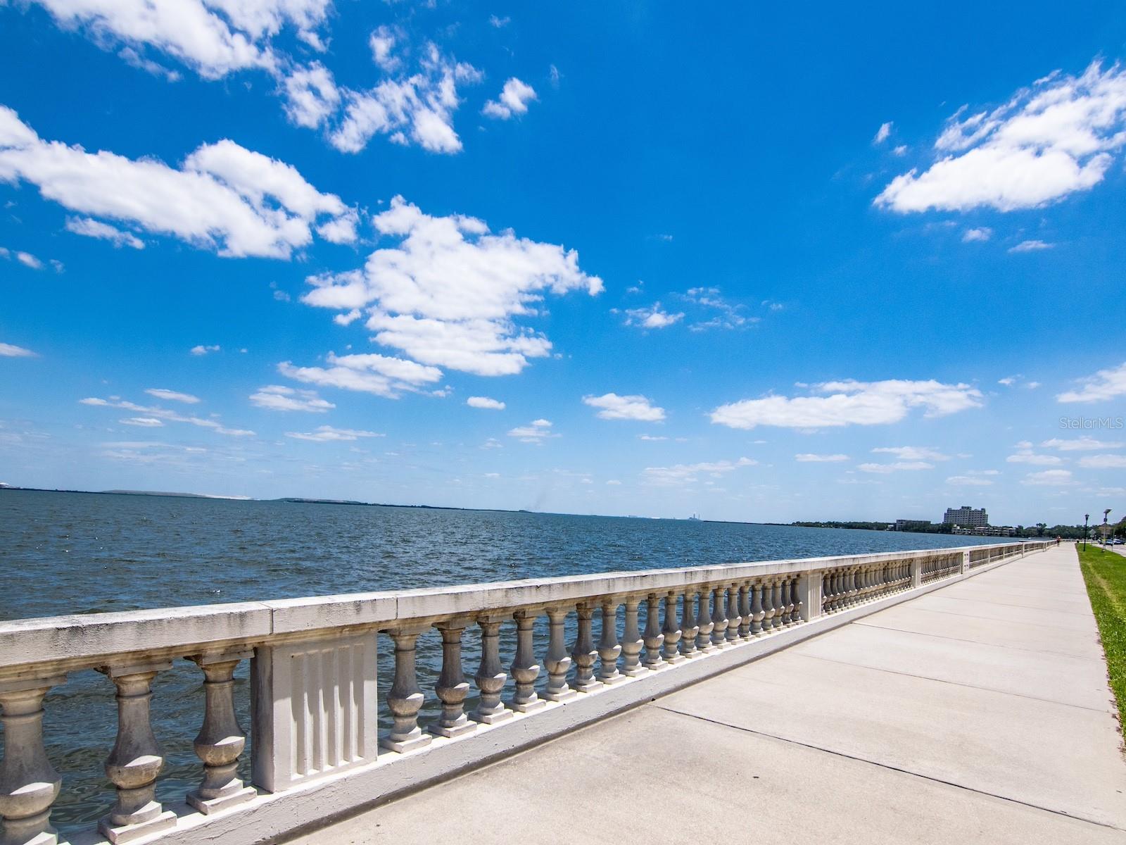 Image 44 of 52 For 4141 Bayshore Boulevard 304