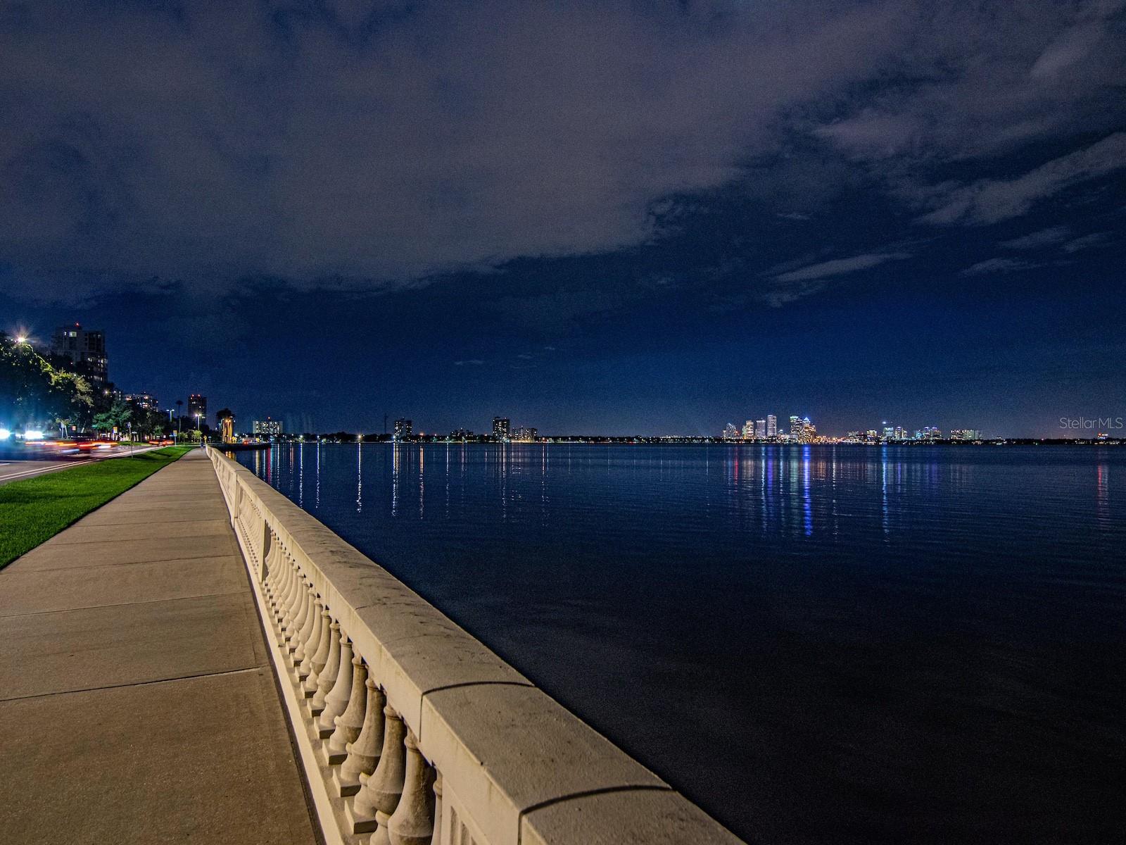 Image 49 of 52 For 4141 Bayshore Boulevard 304