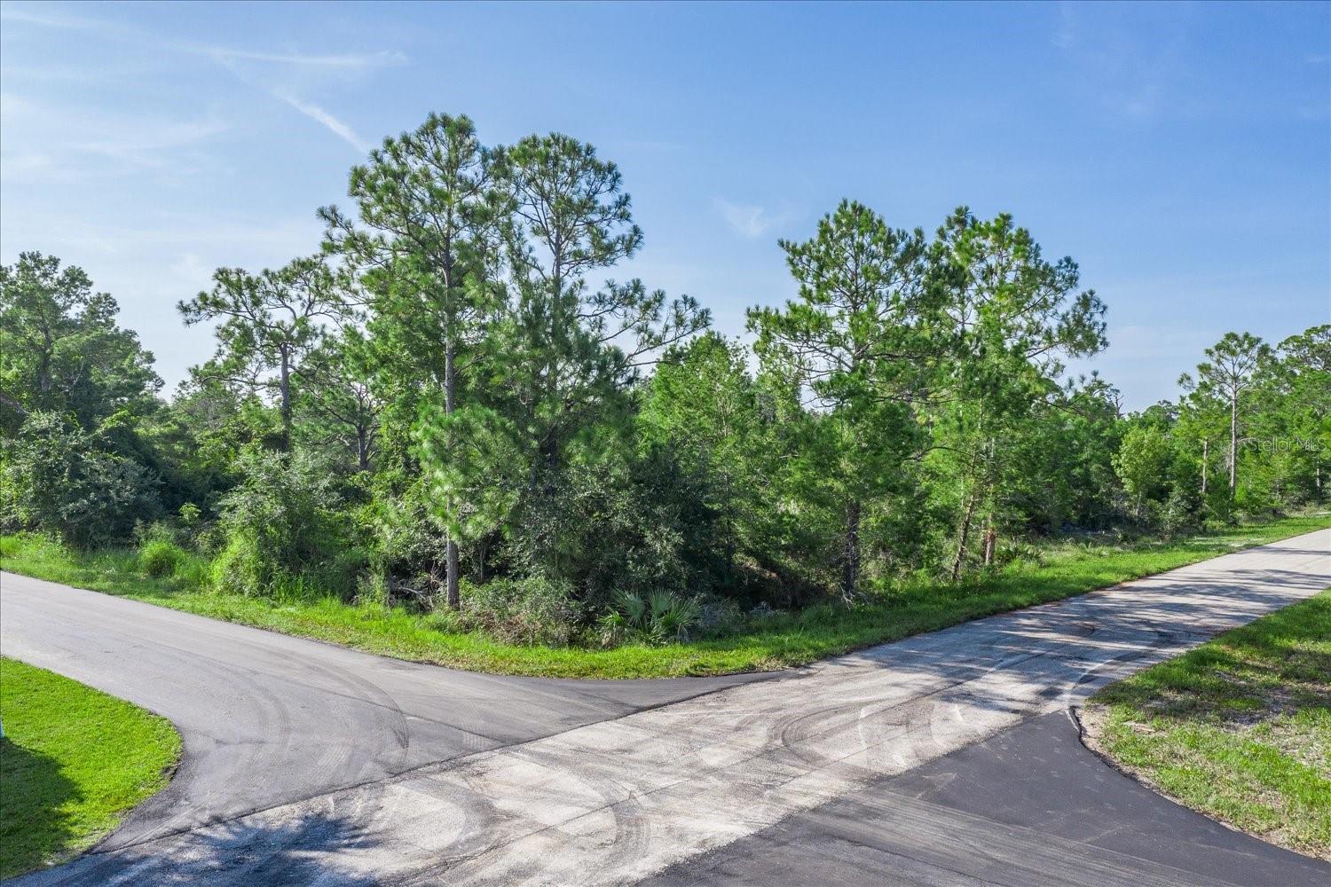 Details for 212 Avenger Street Nw, LAKE PLACID, FL 33852