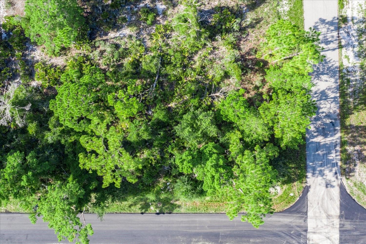 Image 6 of 14 For 212 Avenger Street Nw