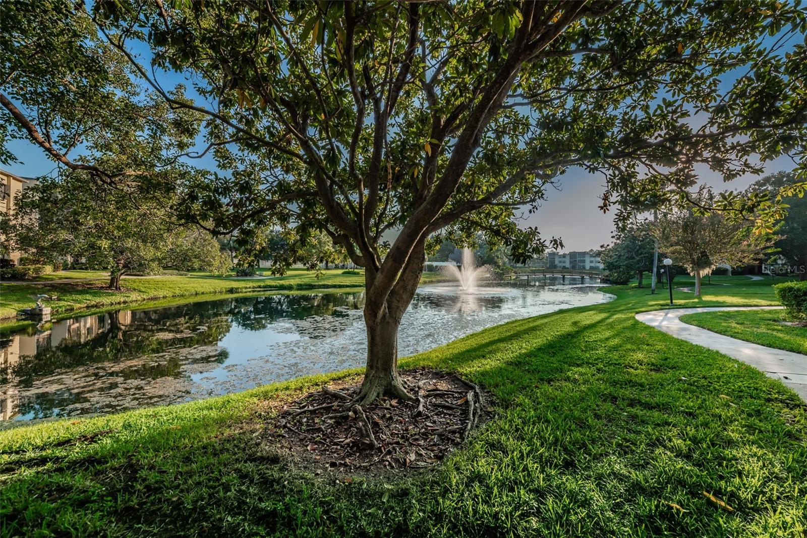 Image 48 of 49 For 14130 Rosemary Lane 3306