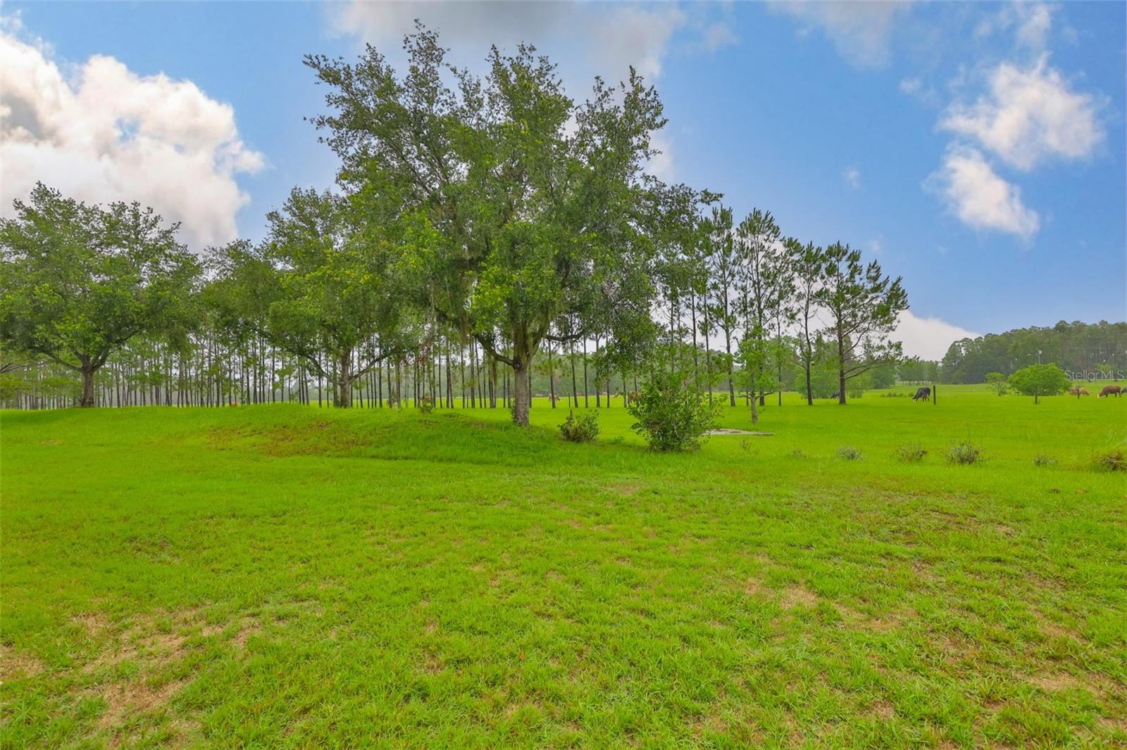 Image 42 of 44 For 2605 Stardale Way