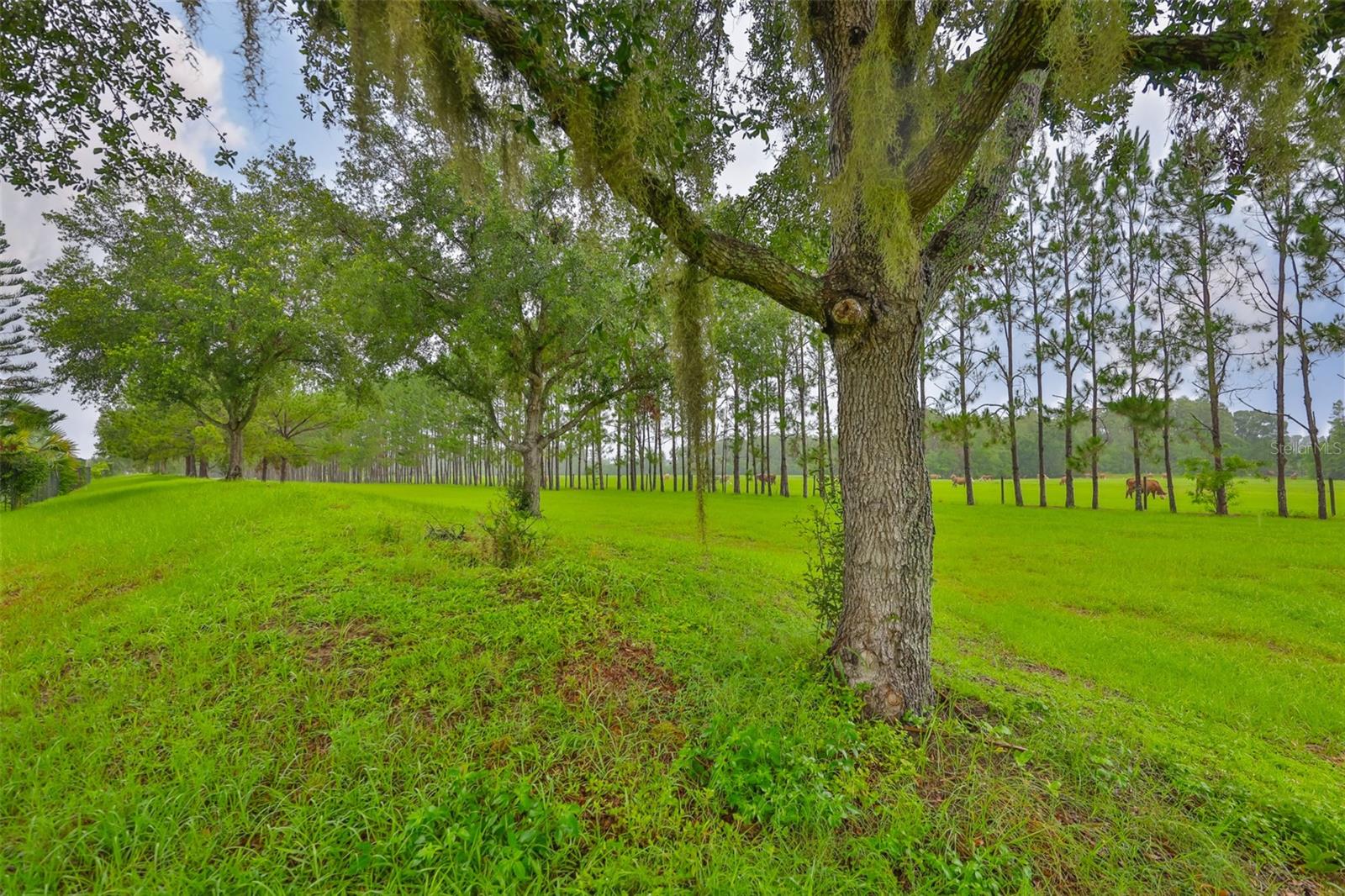 Image 43 of 44 For 2605 Stardale Way