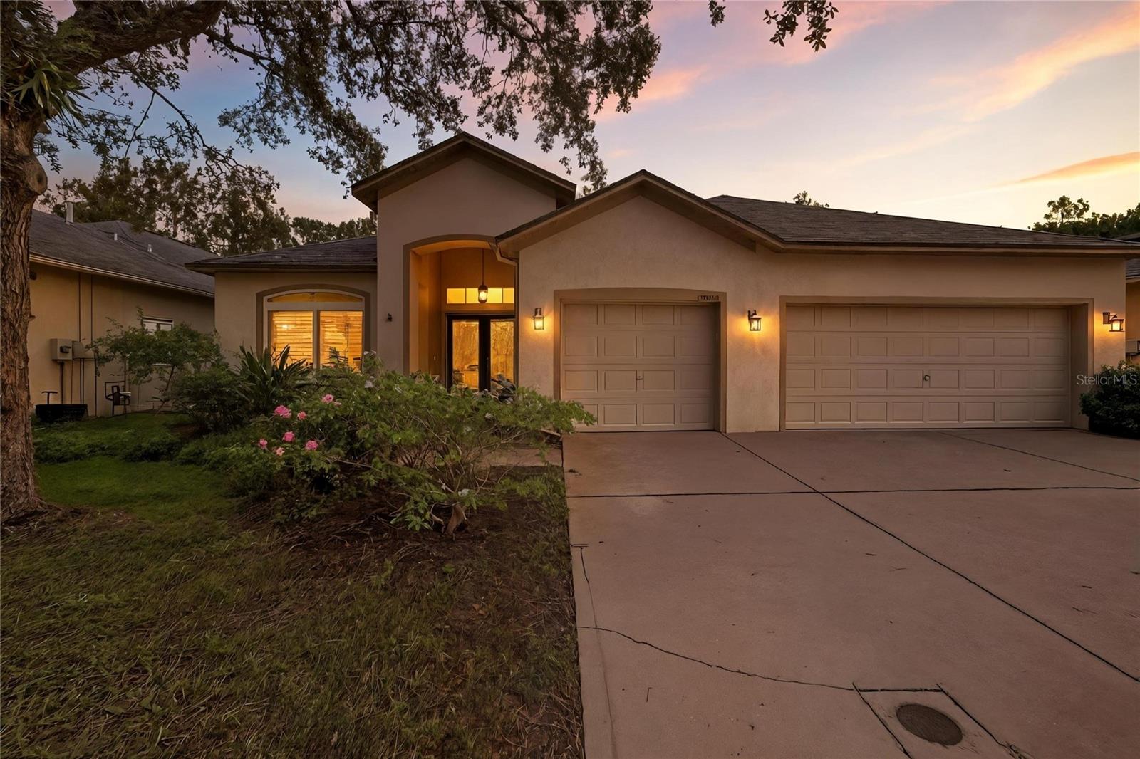 Details for 19213 Pelican Ridge Lane, TAMPA, FL 33647