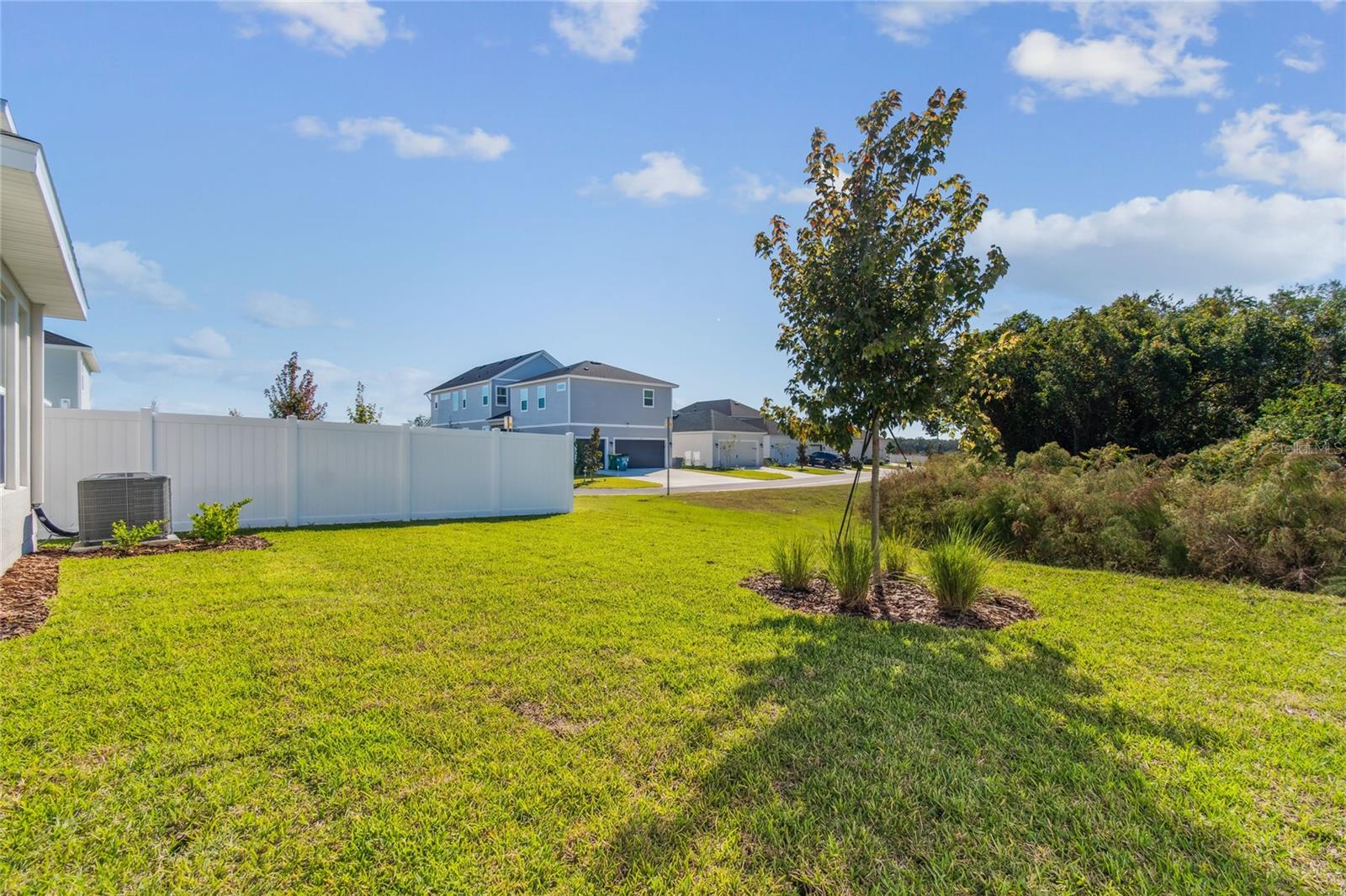 Image 50 of 55 For 28780 Jujube Road