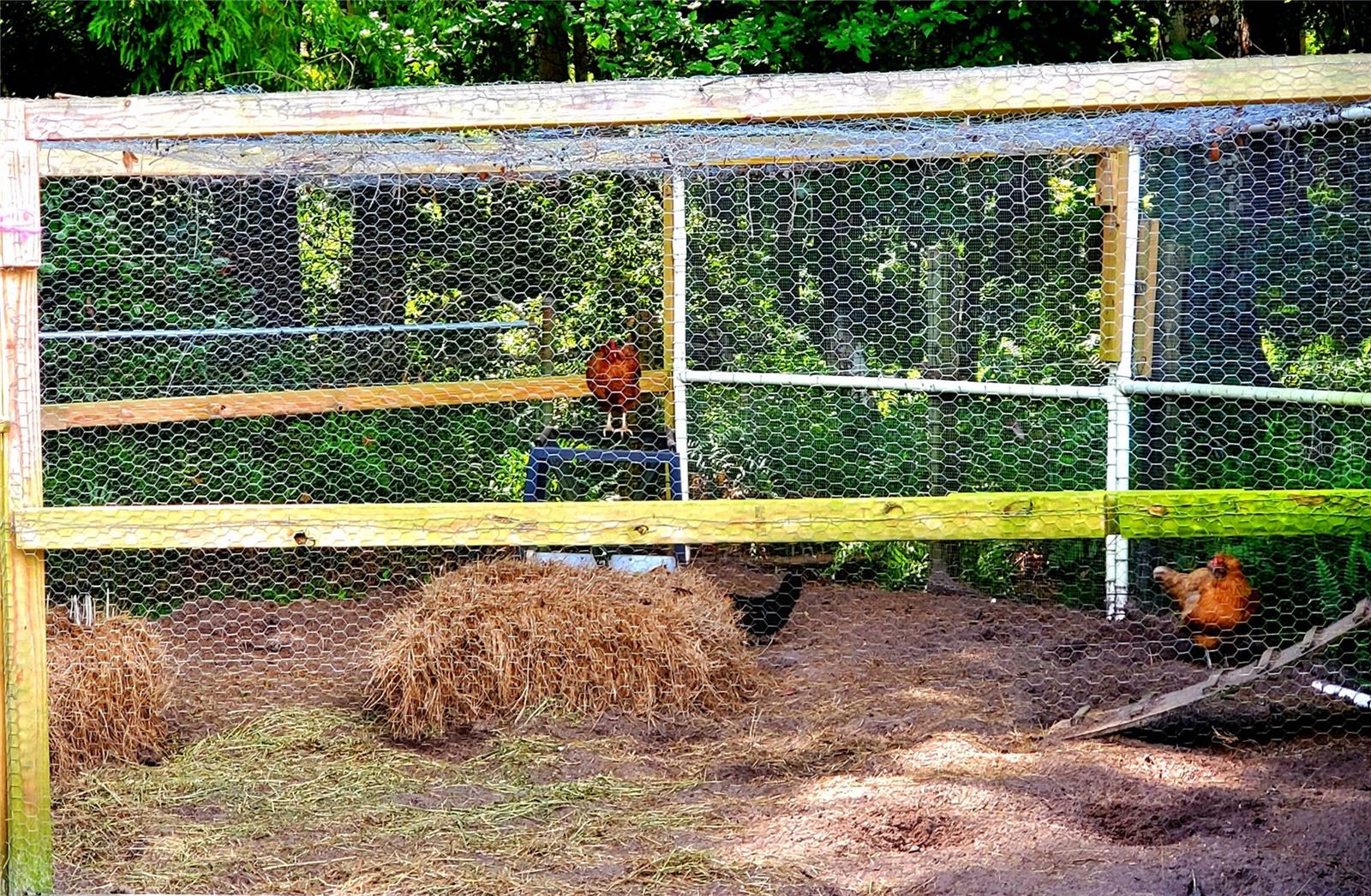 Image 51 of 72 For 10112 Indian Mound Drive