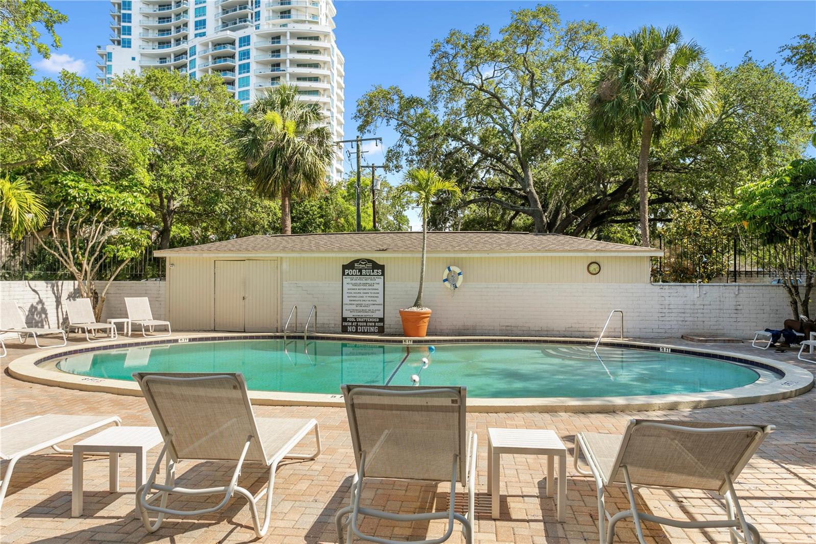 Image 33 of 43 For 3325 Bayshore Boulevard E14