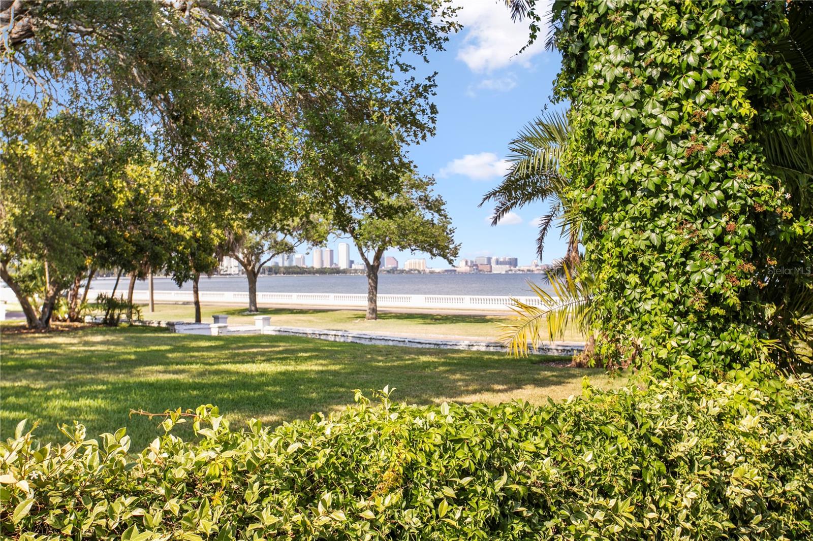 Image 36 of 43 For 3325 Bayshore Boulevard E14