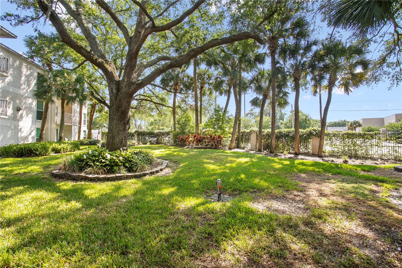 Image 7 of 43 For 3325 Bayshore Boulevard E14