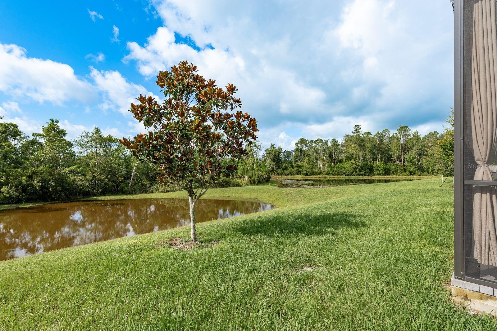 Image 45 of 78 For 17026 Shell Bay Drive