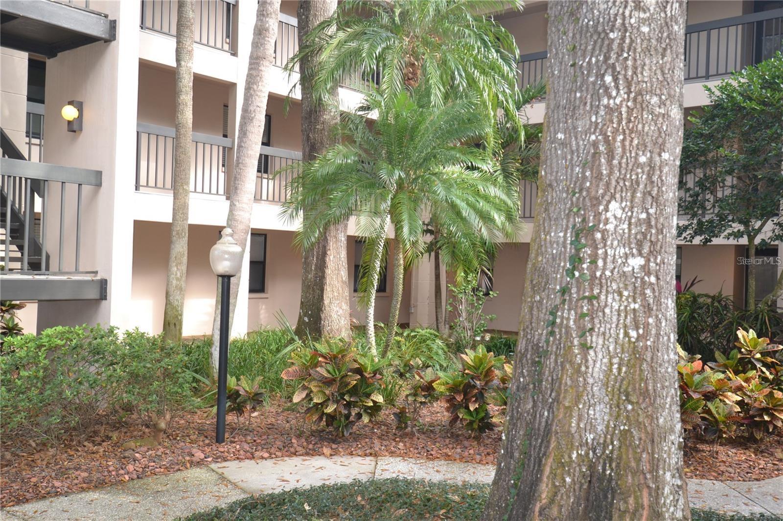 Image 55 of 63 For 3399 Mermoor Drive 110