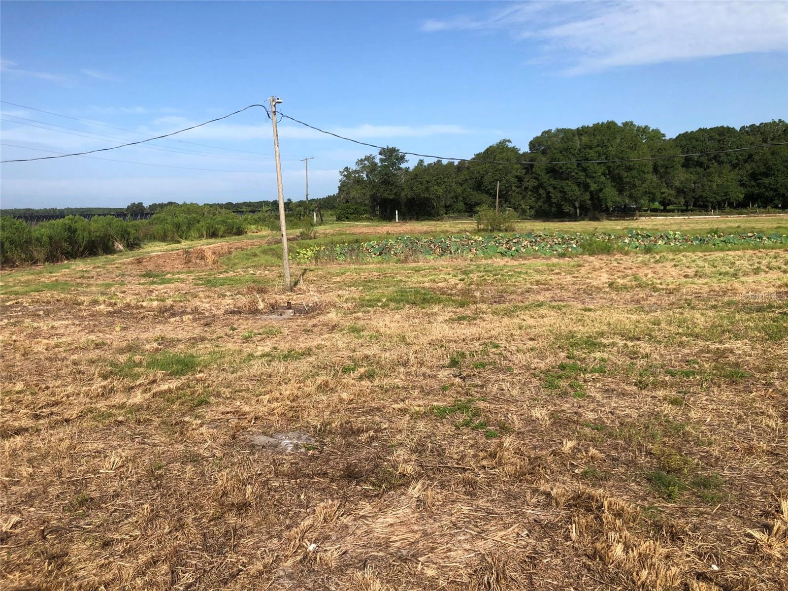Listing photo id 2 for 2012 Engessor Road