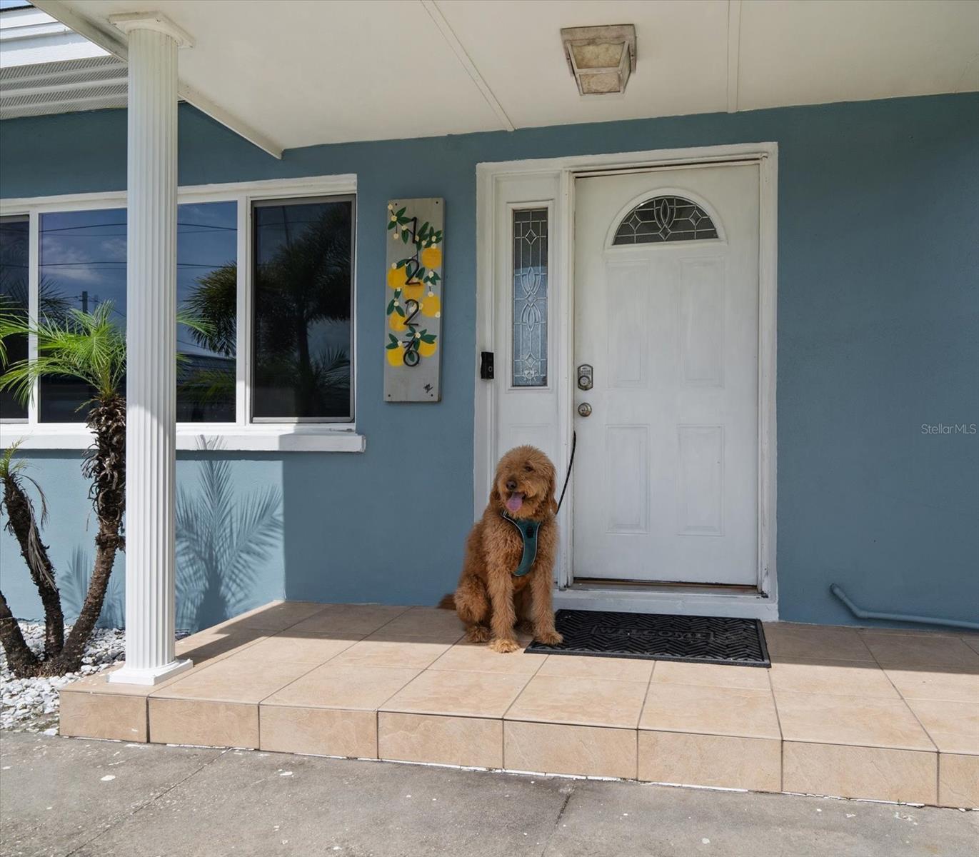 Listing photo id 0 for 1226 Robin Hood Lane
