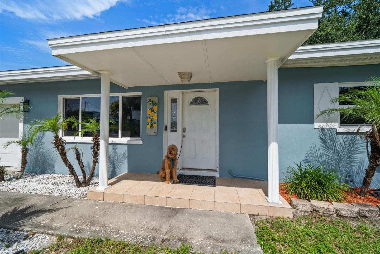 Listing photo id 47 for 1226 Robin Hood Lane
