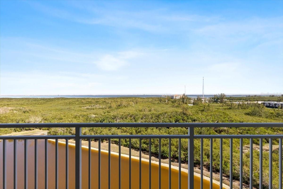Image 29 of 34 For 10851 Mangrove Cay Lane Ne 1112